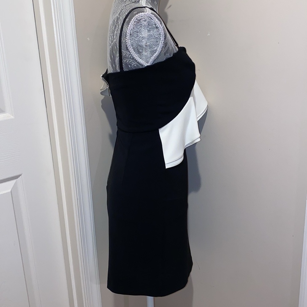 Parker Imani dress size XS NWOT - Picture 3 of 8